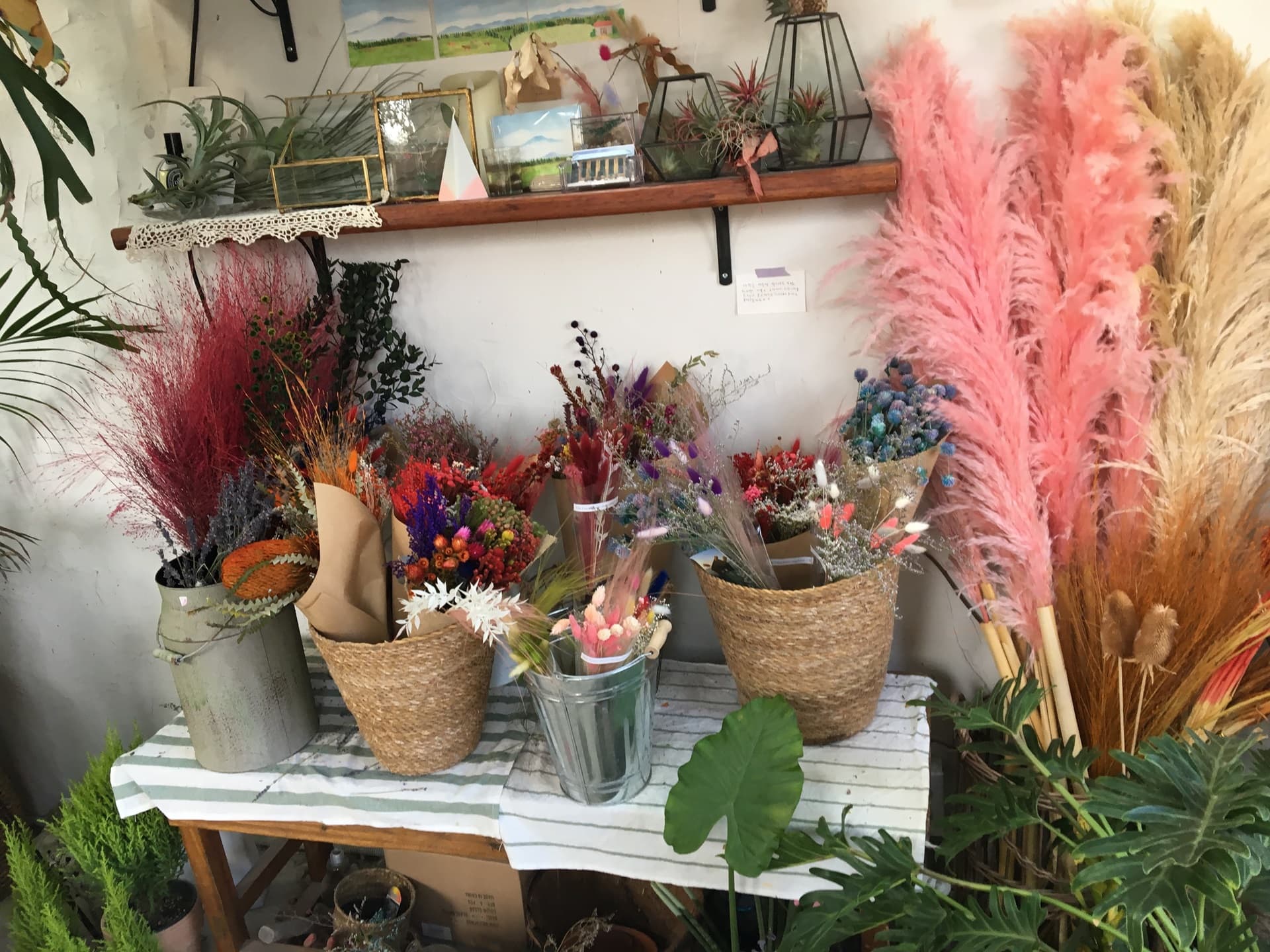 그꽃 - 이미지 1