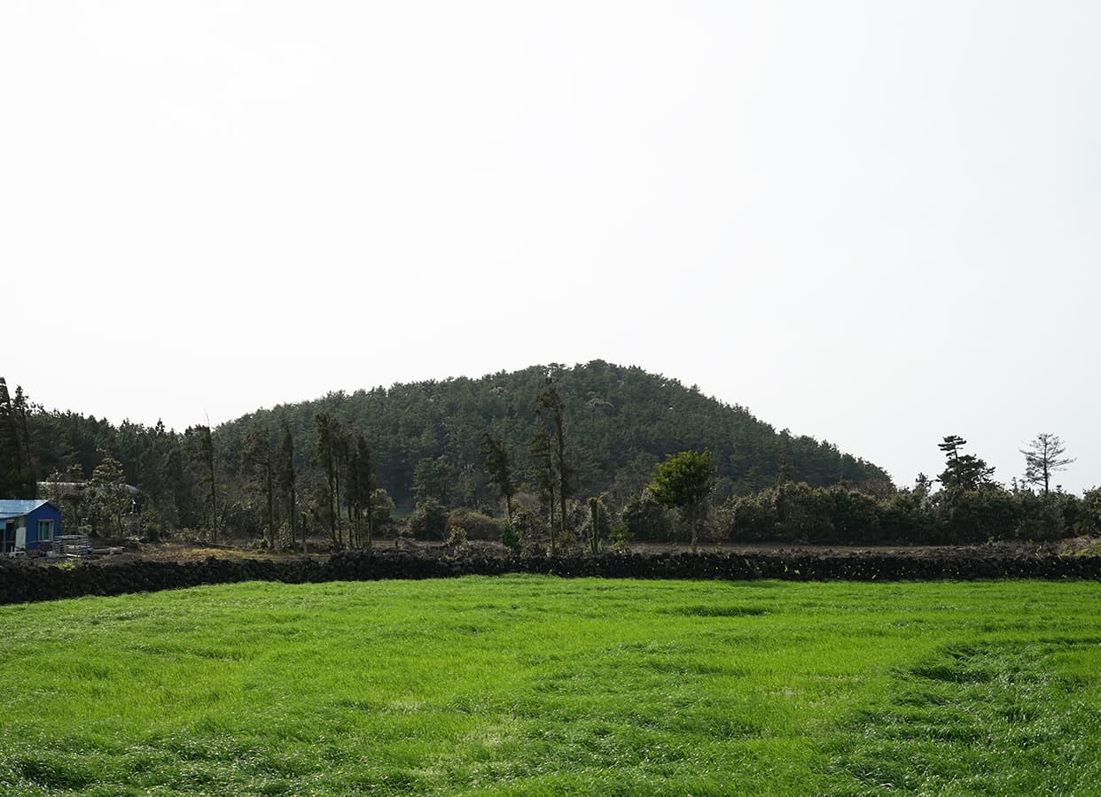 거린오름 (북오름) - 이미지 1