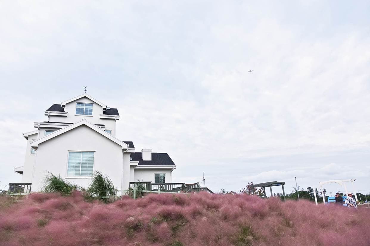 소금빵까페 키친오즈 - 이미지 1