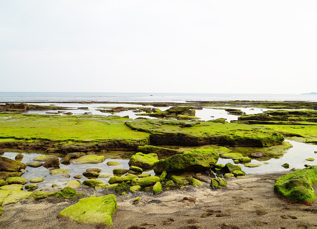 광치기해변 - 이미지 1