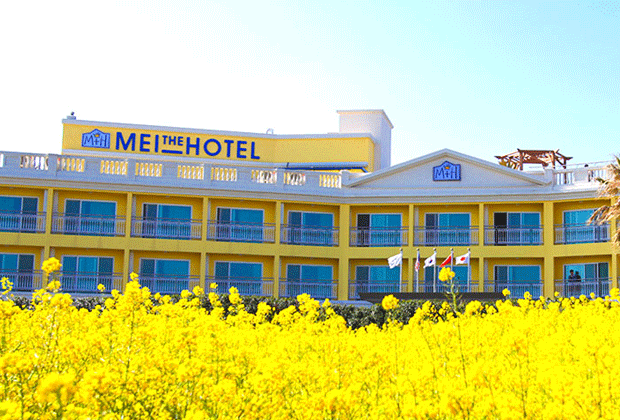 메이더호텔 - 이미지 1