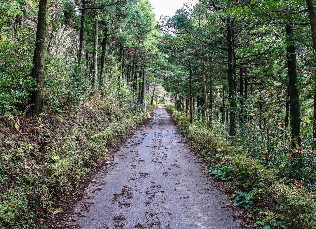 고근산(고공산) - 이미지 1