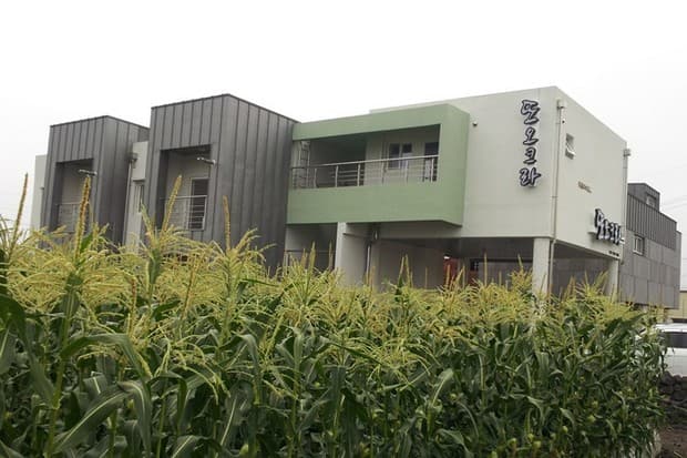 또오크라 - 이미지 1