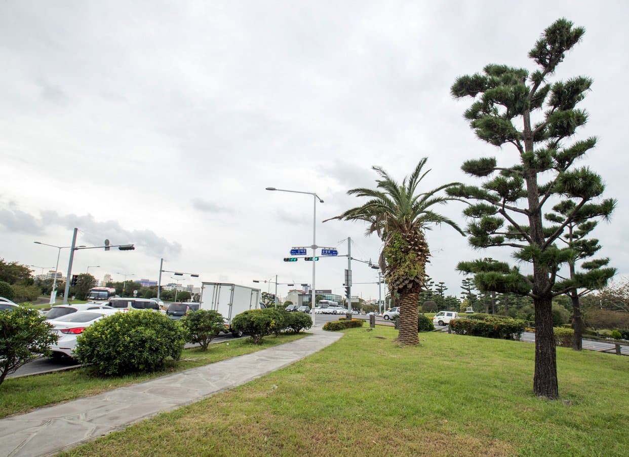 도령모루(도령마루) - 이미지 1