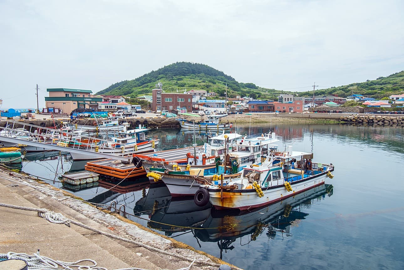 예초리포구 - 이미지 1