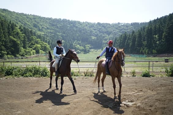 제주오름승마랜드 - 이미지 1