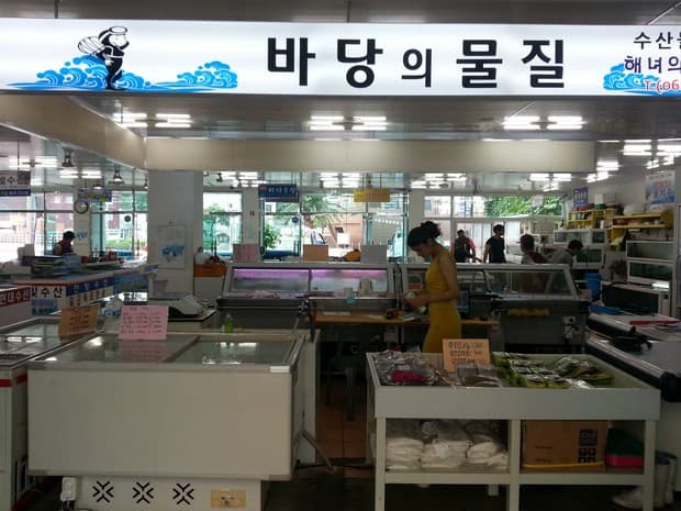 바당의물질 - 이미지 1