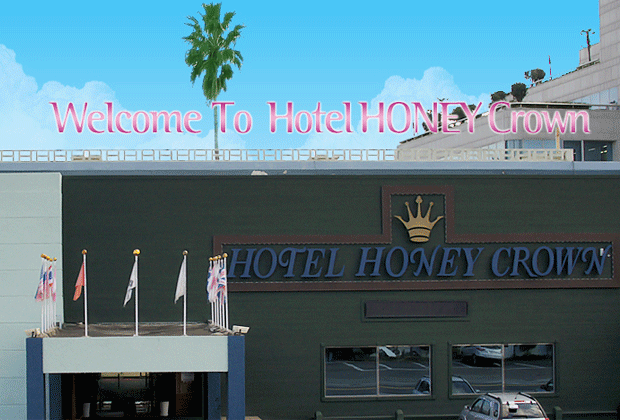 하니크라운호텔 - 이미지 1