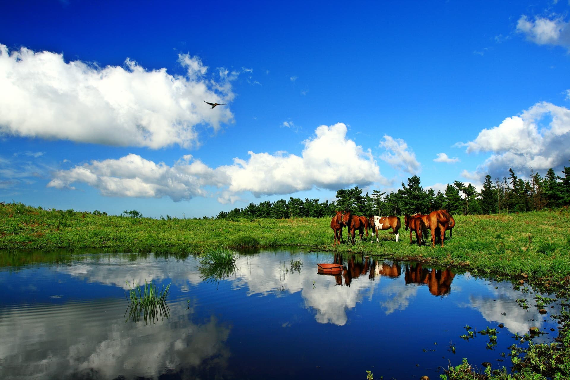 물찻오름 [출입제한 - 자연휴식년제 적용 중] - 이미지 1