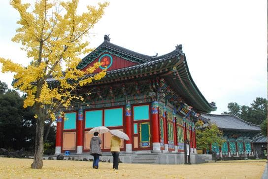 제주불교성지 순례길 절로 가는길 - 지계의 길 - 이미지 1