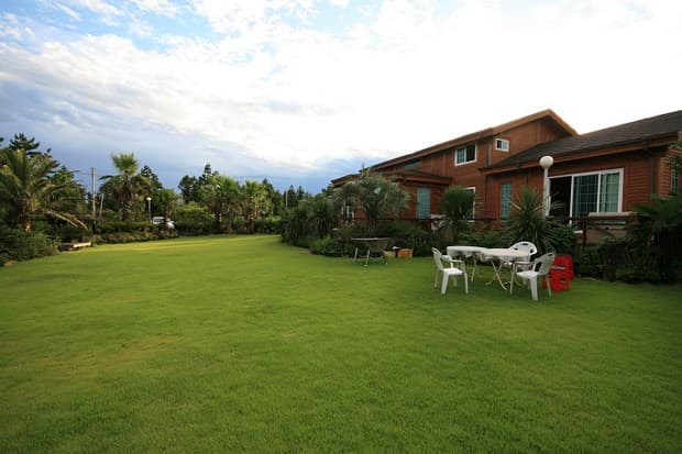 제주야자원 - 이미지 1