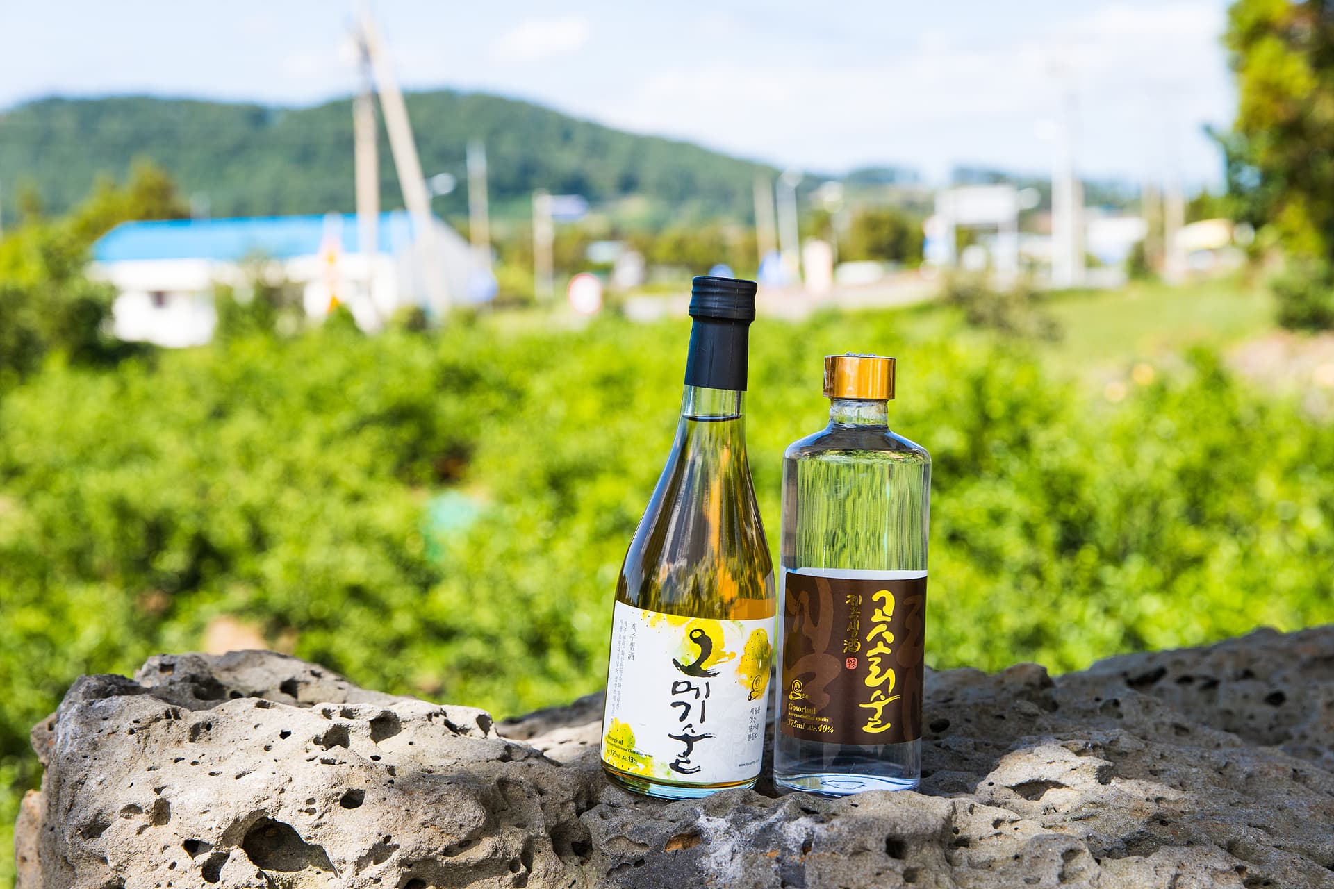 제주샘주 영농협동조합 - 이미지 1