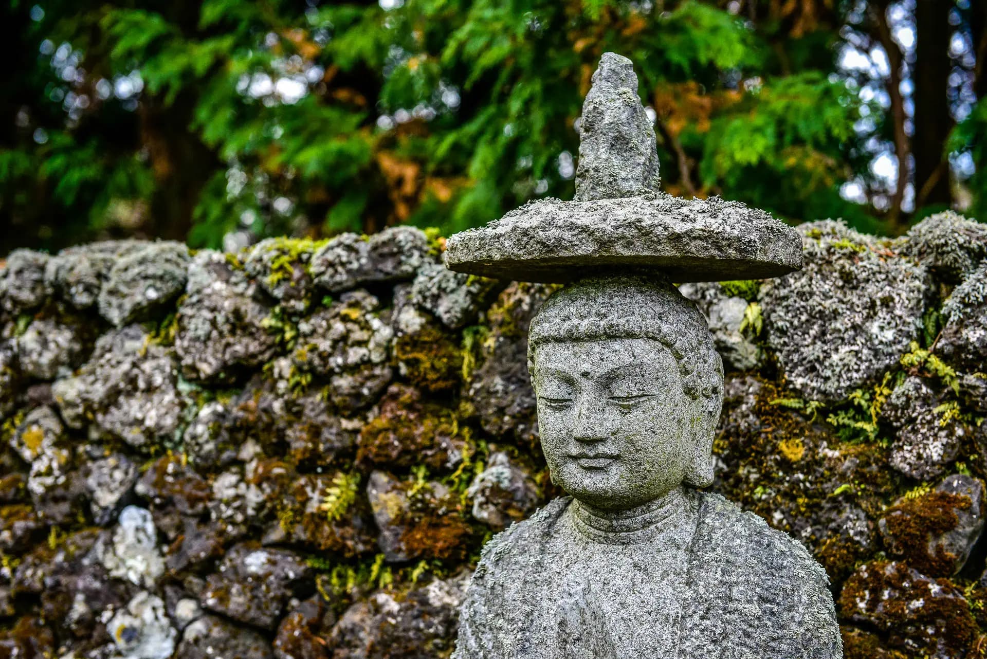 관음사 - 이미지 1