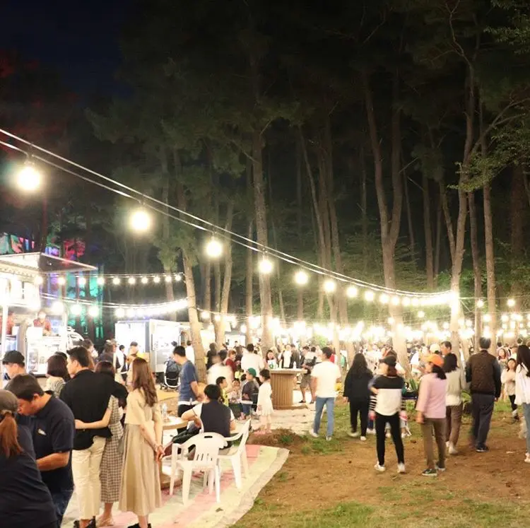 수목원테마공원(야시장길&LED공원) - 이미지 1