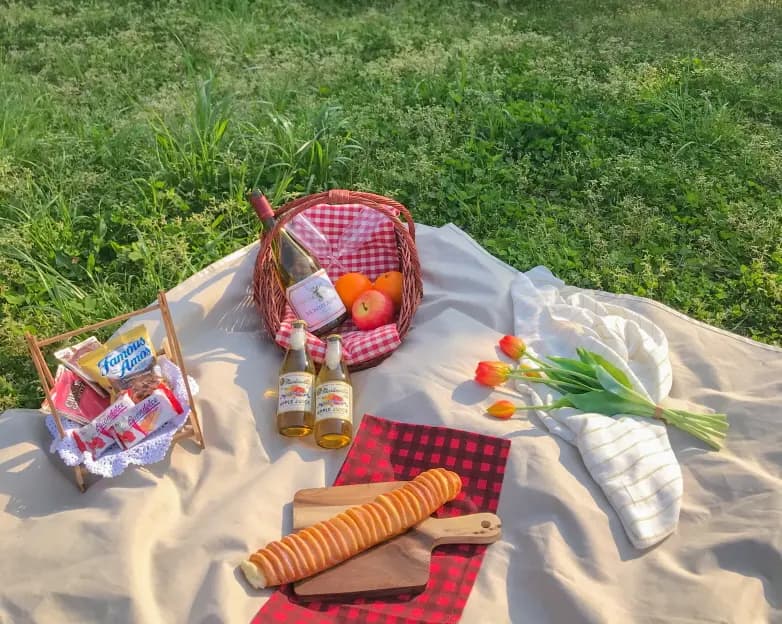 피크닉메이트 - 이미지 1