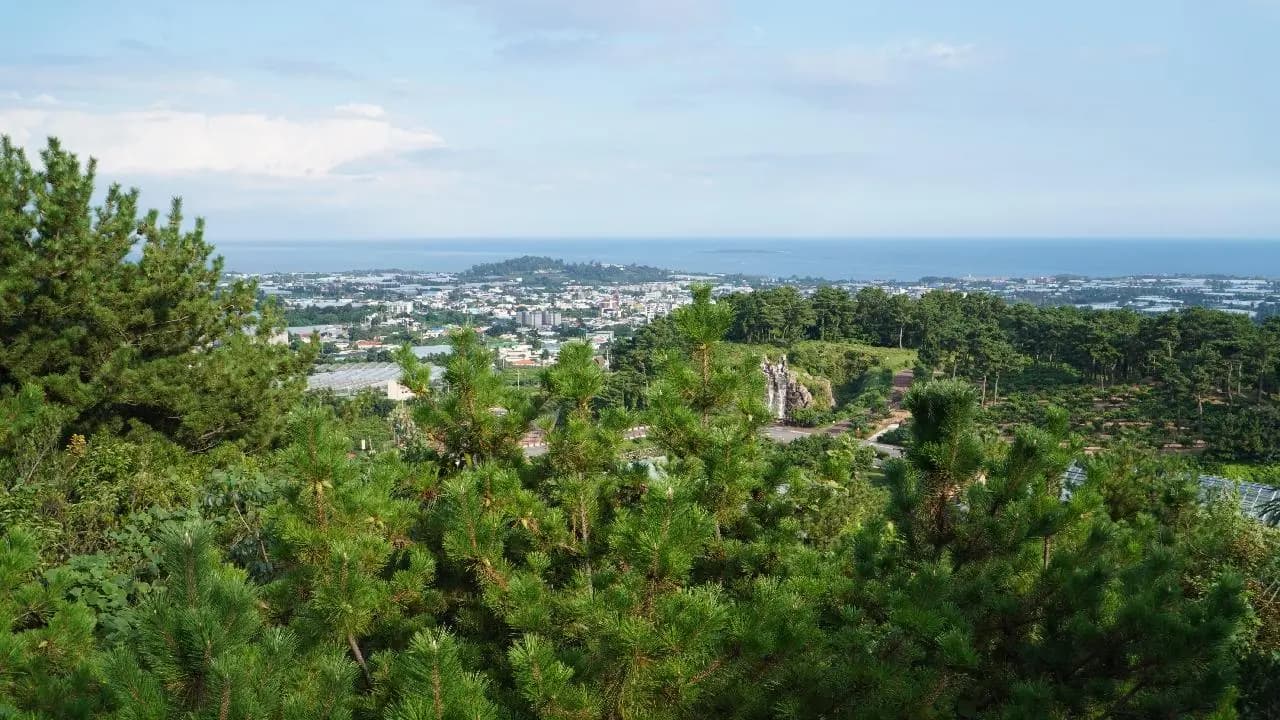 감귤박물관 월라봉 산책로 - 생이소리길 - 이미지 1