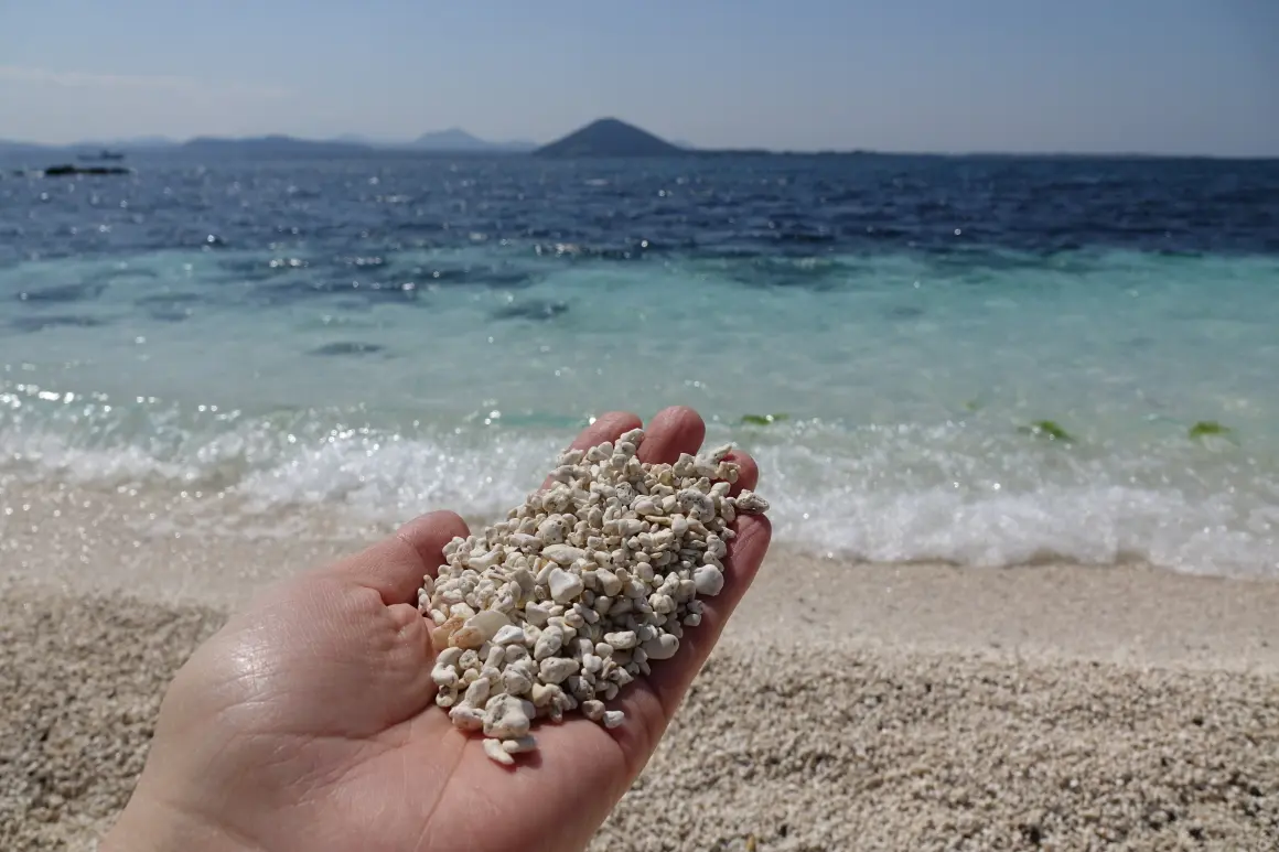 우도산호해변 홍조단괴 서빈백사 - 이미지 1
