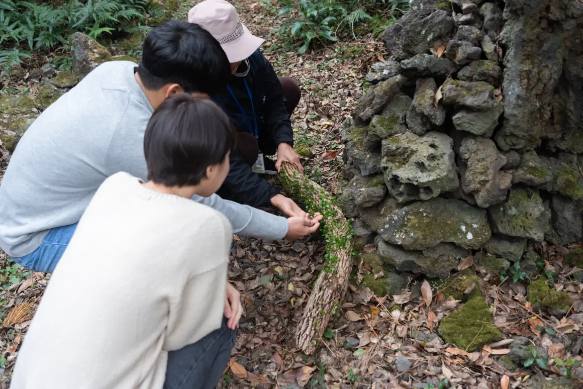 문화예술마을 저지리 농어촌체험마을 - 이미지 1