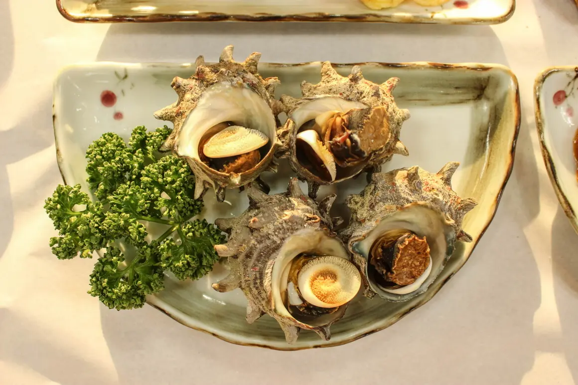 강해일횟집 - 이미지 1