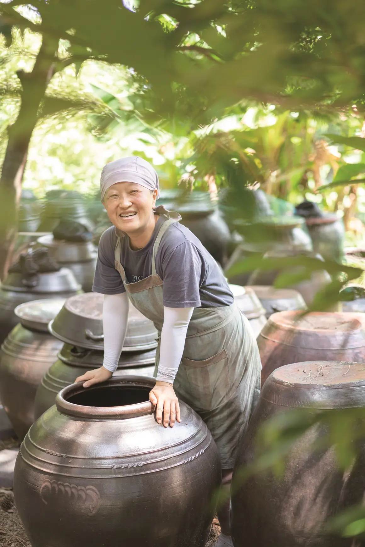 푸른콩방주 - 이미지 1