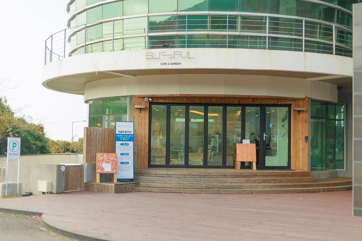 블리스풀 - 이미지 1