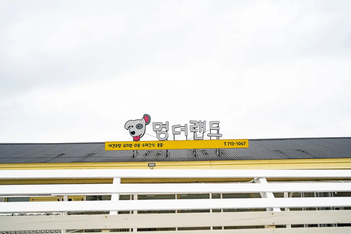 멍더랜드 - 이미지 1