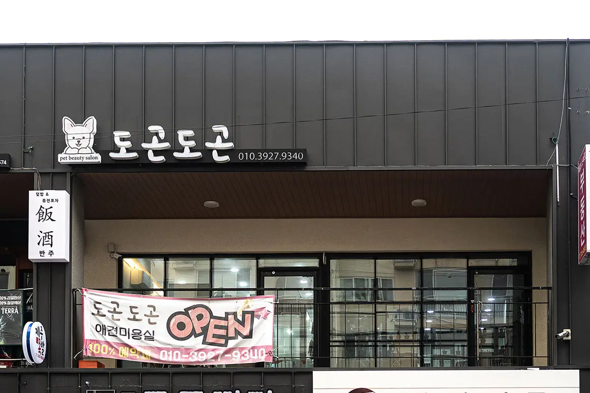 도곤도곤 애견미용실 - 이미지 1