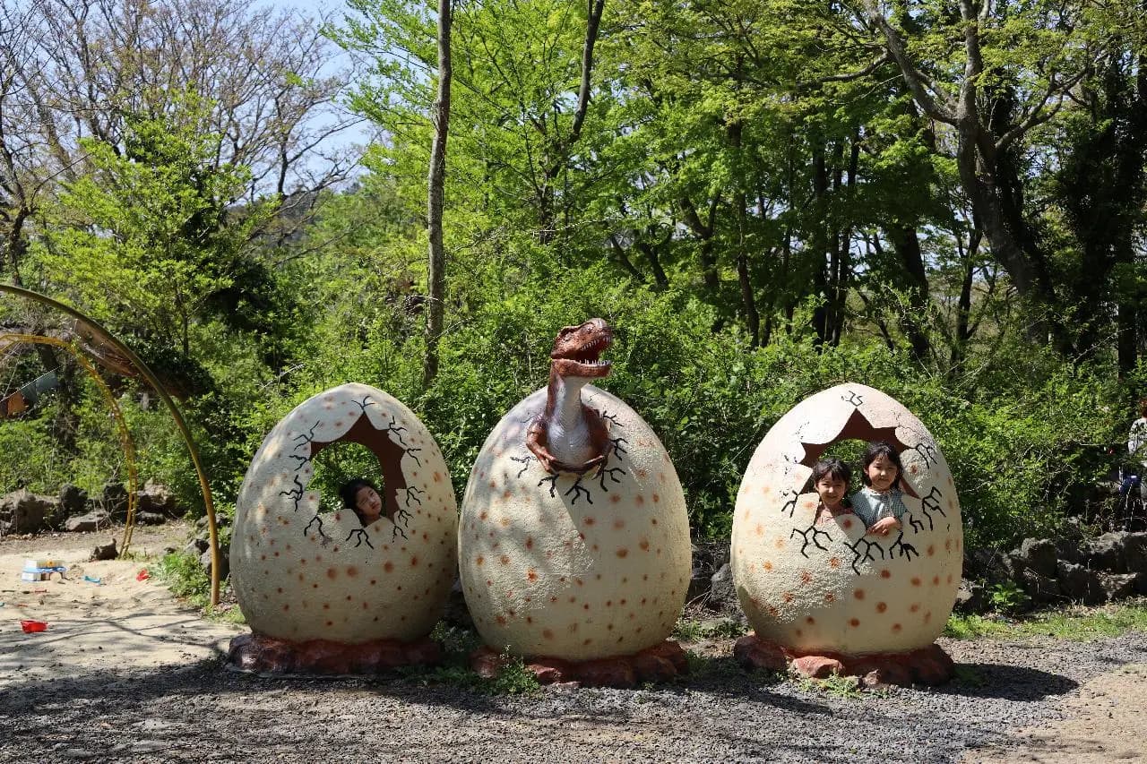 포레스트 사파리 - 이미지 1