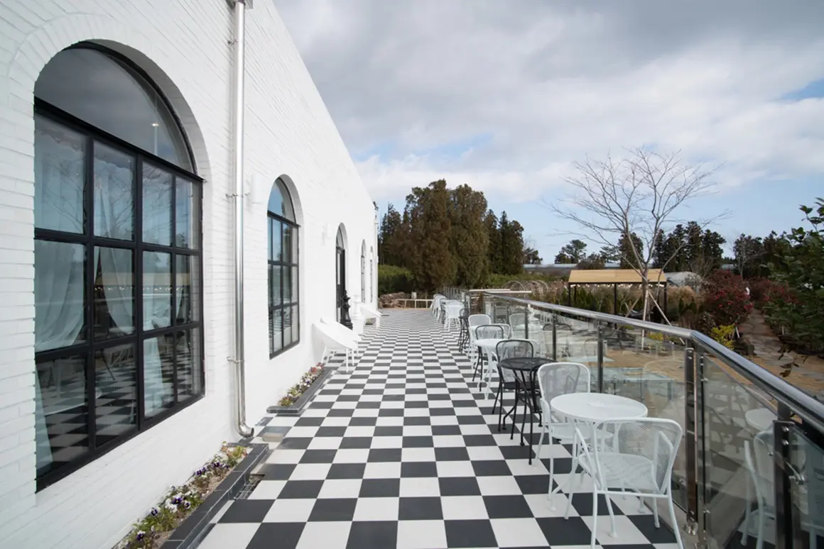 카페드노아 - 이미지 1