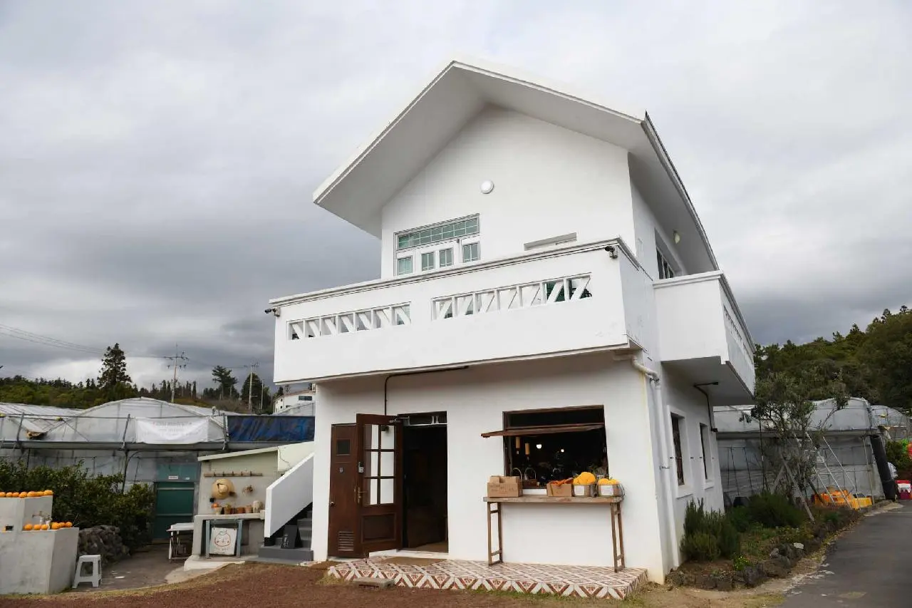 감따남 - 이미지 1