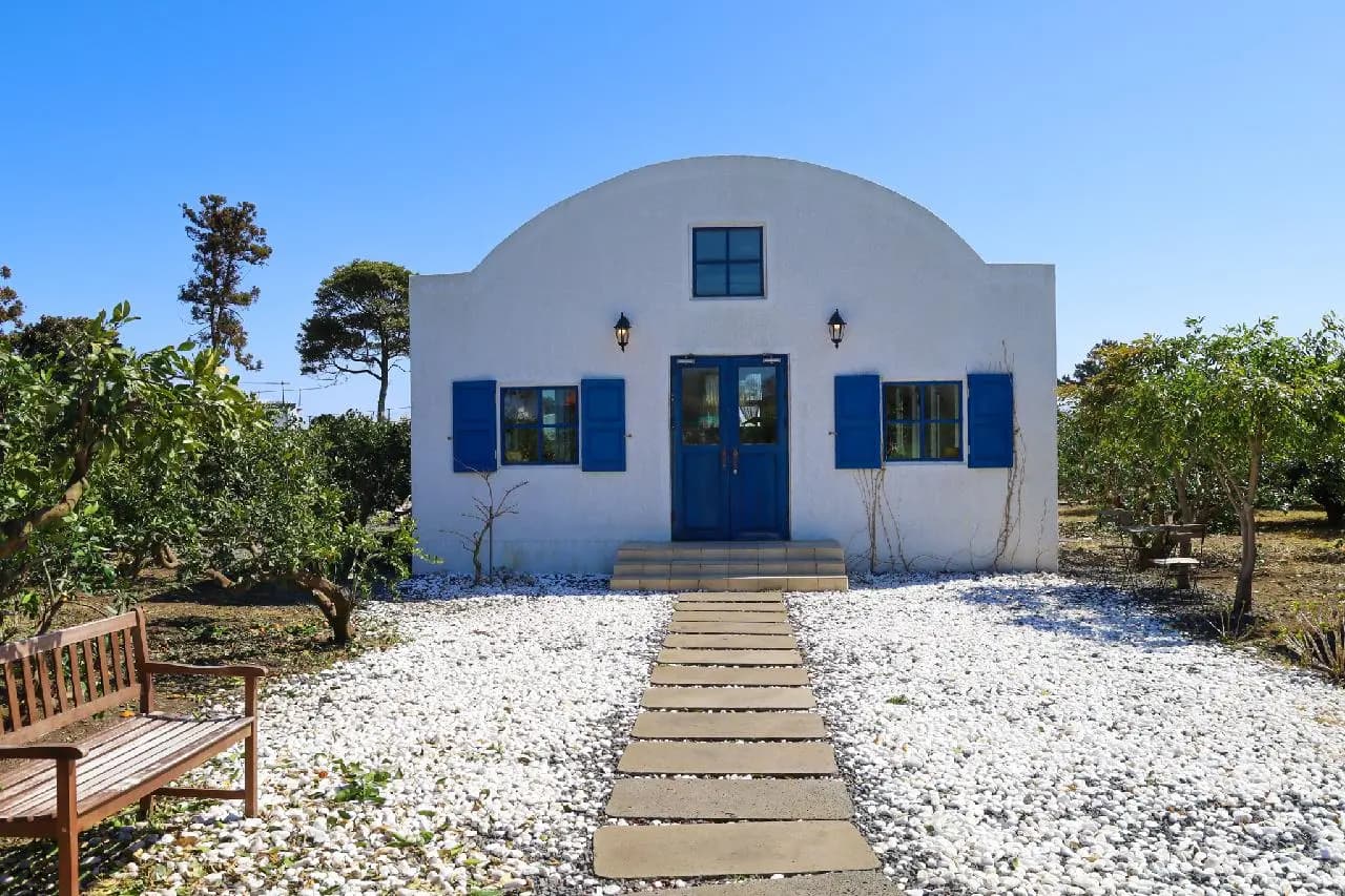 덴드리 - 이미지 1