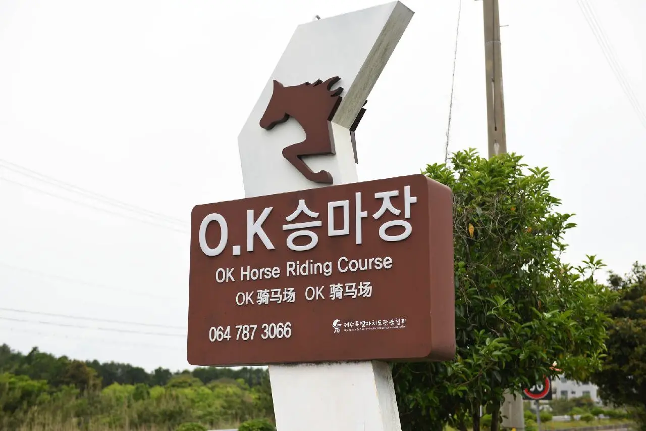 OK승마장 - 이미지 1