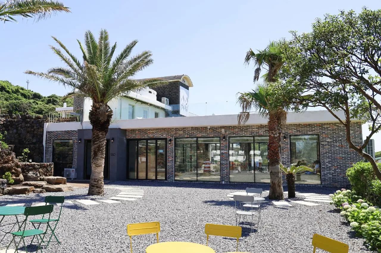 소색채본 - 이미지 1