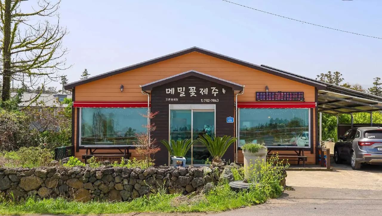 메밀꽃제주 - 이미지 1