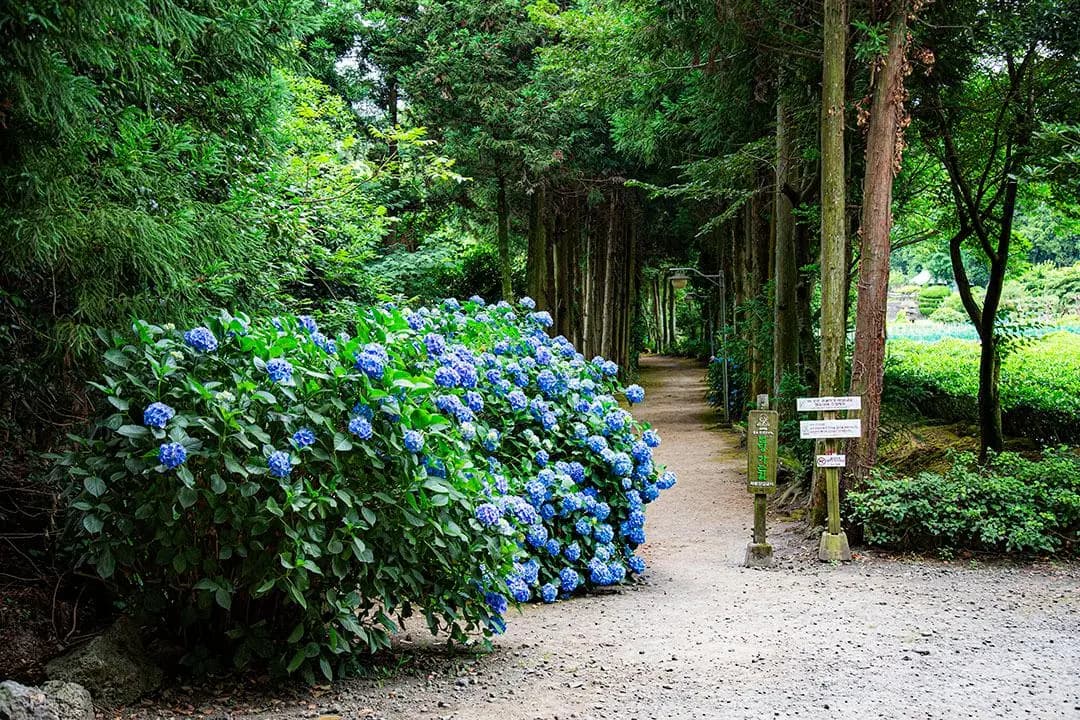 남국사 - 이미지 1