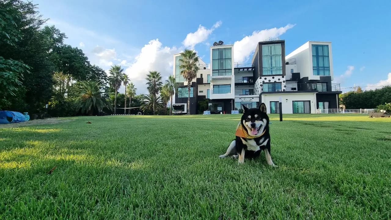 제주애견동반감성숙소 르페도라 - 이미지 1