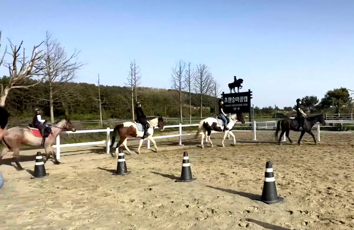 초원승마클럽 승마체험/활쏘기체험 - 이미지 1