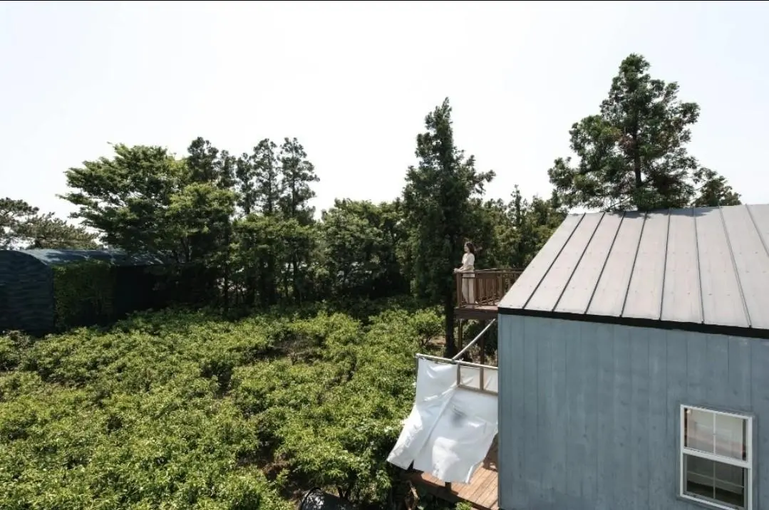 제주도작은집 작은별 - 이미지 1