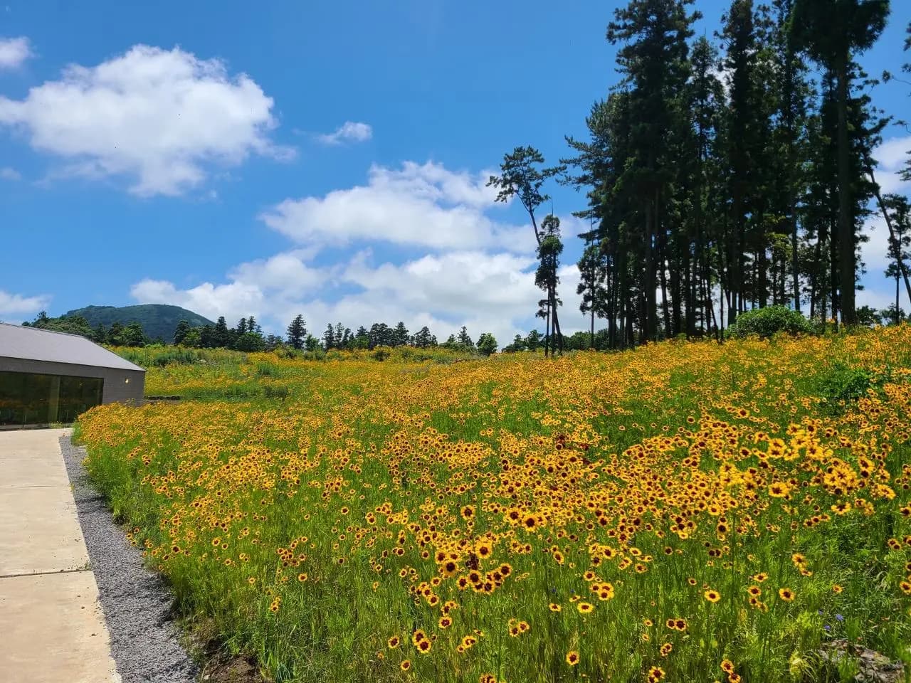 우정원베이커리 제주삼나무점 - 이미지 1